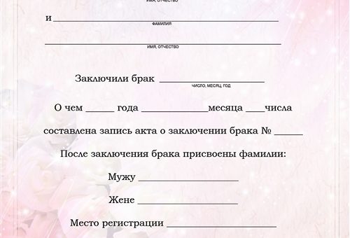 Свидетельство о заключении. Свидетельство о браке прикол. Бумага о браке заключении брака. Документ о заключении брака прикол. Заявление о браке прикол.